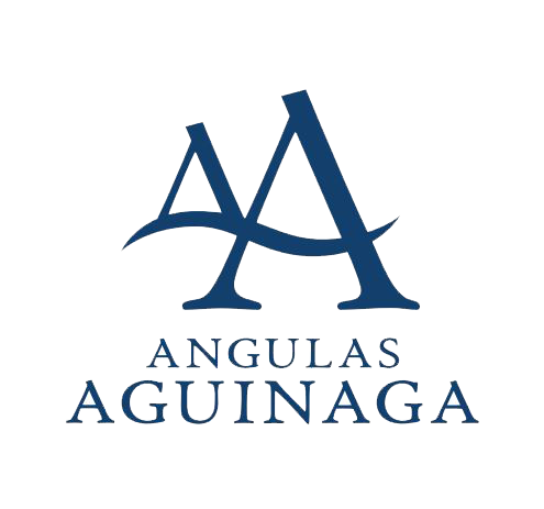 logo angulas aguinaga